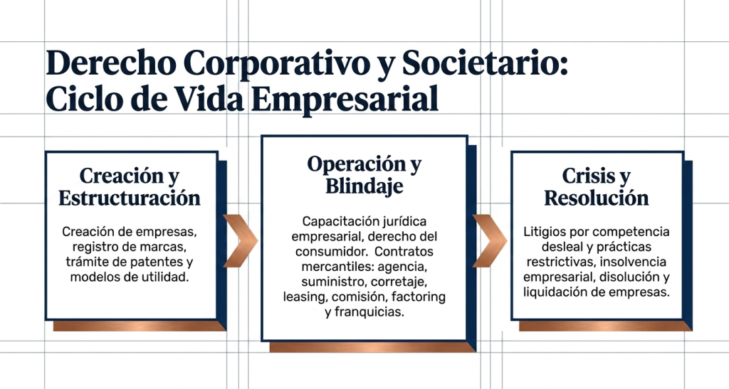 Abogado Alejandro Vargas